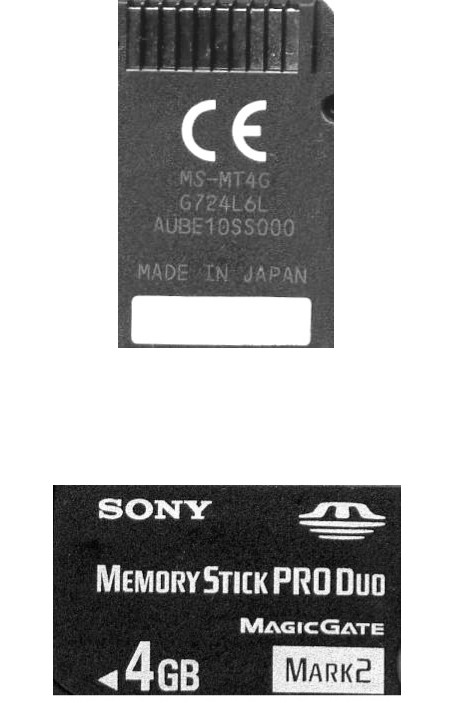 This Memory Stick May Not Record Or Play Message On Dsc H20